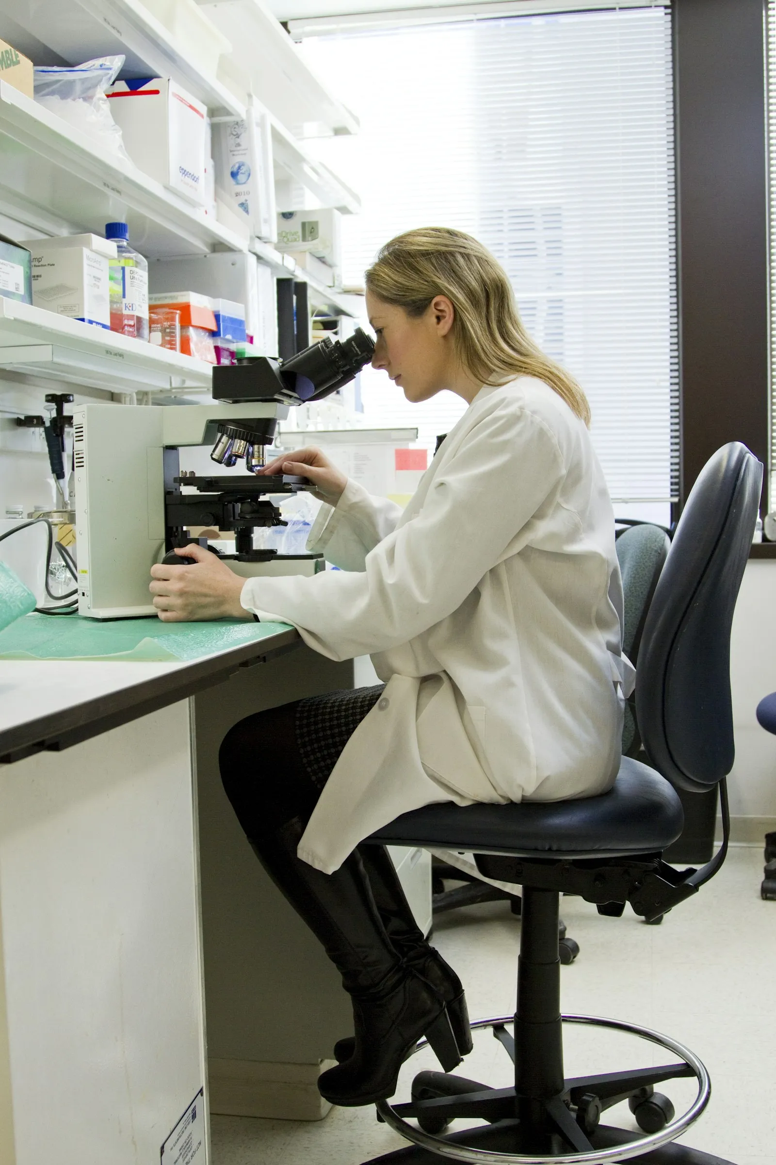 Scientist in PPE processing cell cultures under a biosafety cabinet